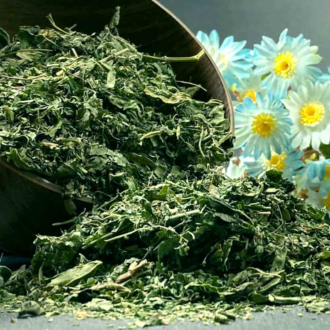 قیمت و مشخصات گزنه