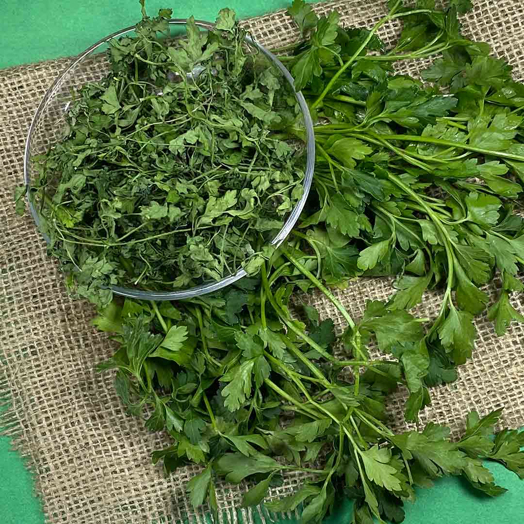 جعفری جعفری